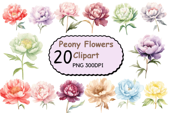 Watercolor Peony Flowers Clipart Graphic Illustrations By CreativeDesign