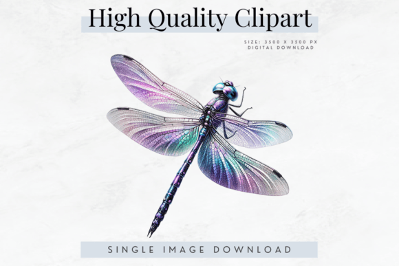 Iridescent Wings Dragonfly Clipart Gráfico PNGs transparentes de IA Por Bijou Bay