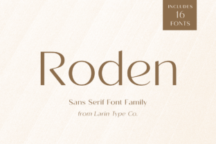 Roden Sans Serif Font By Pasha Larin 1