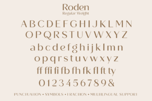 Roden Sans Serif Font By Pasha Larin 15