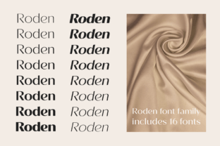 Roden Sans Serif Font By Pasha Larin 3