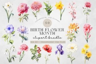 Birth Month Flower Clipart - Flower Png Graphic Illustrations By Feather Flair Art 1