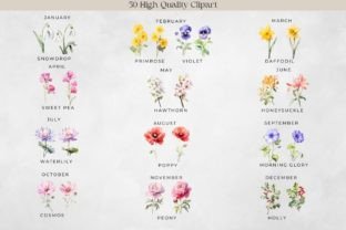 Birth Month Flower Clipart - Flower Png Graphic Illustrations By Feather Flair Art 3