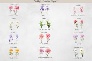 Birth Month Flower Clipart - Flower Png Graphic Illustrations By Feather Flair Art 4