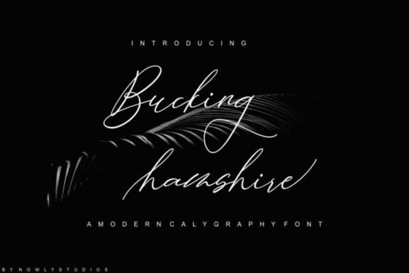 Bucking Hamshire Script & Handwritten Font By nowlystudios