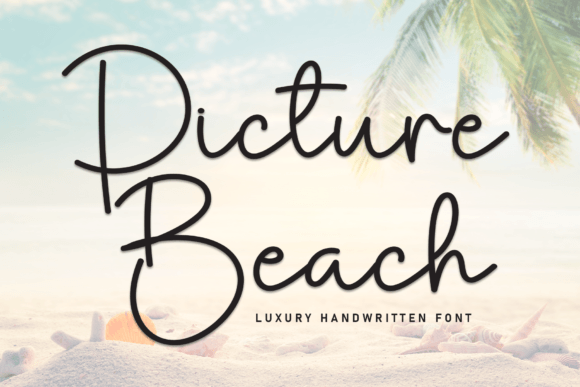 Picture Beach Script & Handwritten Font By andikastudio