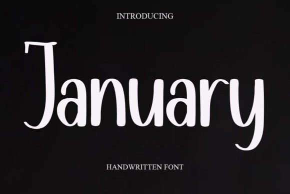 January Script & Handwritten Font By salma studio
