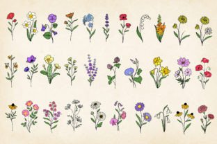 Hand-drawn Minimal Wildflowers Bundle Graphic Illustrations By Paper Art Garden 1