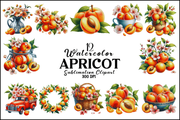 Watercolor Apricot Sublimation Clipart Graphic AI Illustrations By Naznin sultana jui