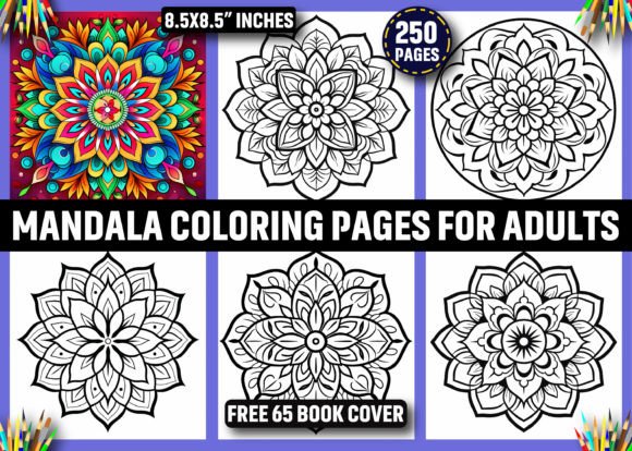 250 Mandala Coloring Pages for Adults Graphic KDP Interiors By ArT DeSiGn