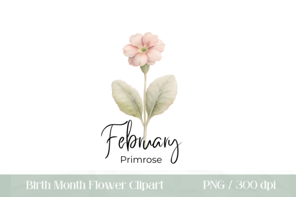Birth Month Flower February Primrose Afbeelding Afdrukbare Illustraties Door Pixel Daisy