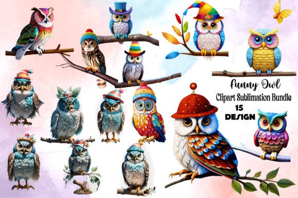 Funny Owl Clipart Bundle Graphic Graphic Templates By Bundle
