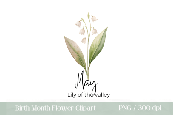 Birth Month Flower Lily of the Valley Graphic Illustrations By Pixel Daisy