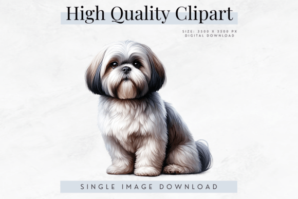 High Quality Shih Tzu Dog Clipart Graphic AI Transparent PNGs By Bijou Bay