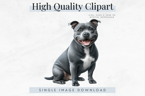 High Quality Staffy Clipart Graphic AI Transparent PNGs By Bijou Bay