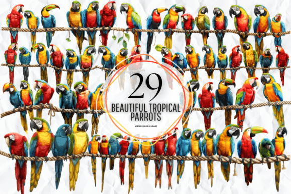 Tropical Parrot Clipart Gráfico Ilustrações para Impressão Por Markicha Art