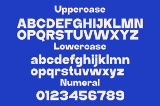 Confine Sans Serif Font By Marvadesign 4