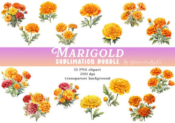 Watercolor Marigol Flower Bundle Clipart Graphic Crafts By WatercolorByKr