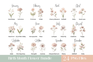 Birth Month Flower Bundle Graphic Illustrations By Pixel Daisy 1