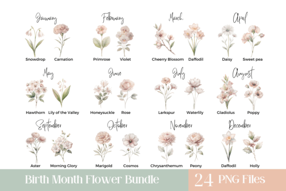 Birth Month Flower Bundle Gráfico Ilustrações para Impressão Por Pixel Daisy