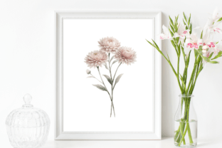 Birth Month Flower Bundle Graphic Illustrations By Pixel Daisy 6