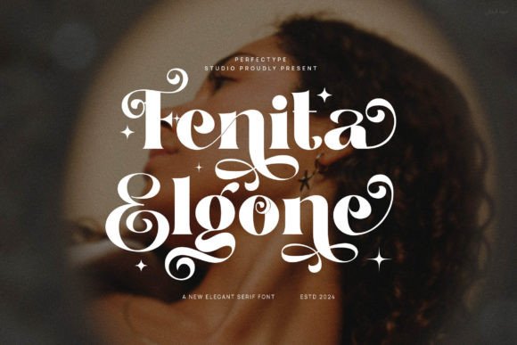Fenita Elgone Serif Font By Perfectype