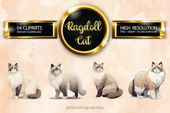 Ragdoll Clipart Bundle 04 Variations Afbeelding AI Illustraties Door Hurairagraphics
