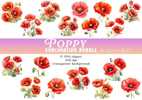 Watercolor Poppy Flower Bundle Clipart Illustration Artisanat Par WatercolorByKr