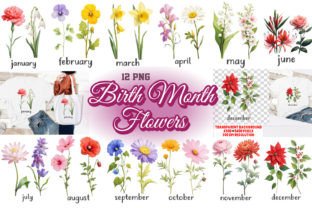 Birth Month Flower Clipart 12 PNG Bundle Grafica Design di T-shirt Di shipna2005 1