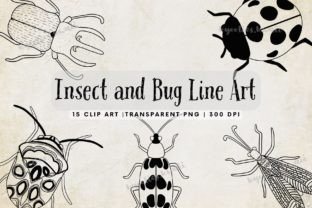 Insect and Bugs Line Art Collection Gráfico Ilustraciones Imprimibles Por kyootieskwaii 1