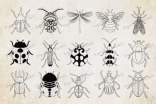 Insect and Bugs Line Art Collection Gráfico Ilustraciones Imprimibles Por kyootieskwaii 2