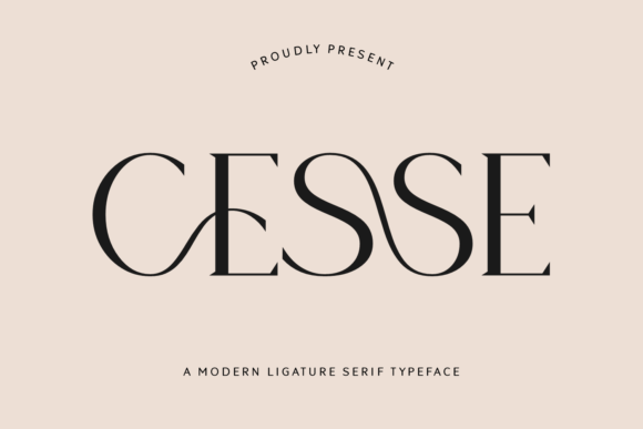 Cesse Serif Font By Creative Fabrica Fonts