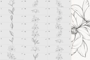 Procreate Flower Stamp, Peony Brush Set Graphic Brushes By ani36 6