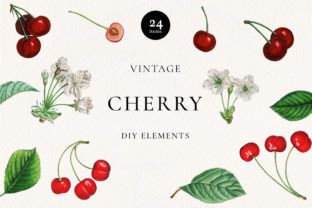 Vintage Red Cherry Botanical Clip Art Graphic Illustrations By Olga Begak Art & Design 1