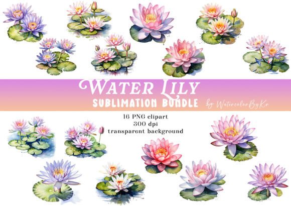 Water Lily Flower Bundle Clipart Illustration Artisanat Par WatercolorByKr