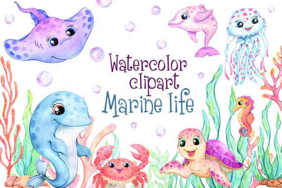 Watercolor Clipart Sea Animals Gráfico Ilustraciones Imprimibles Por MarinuchkaArt