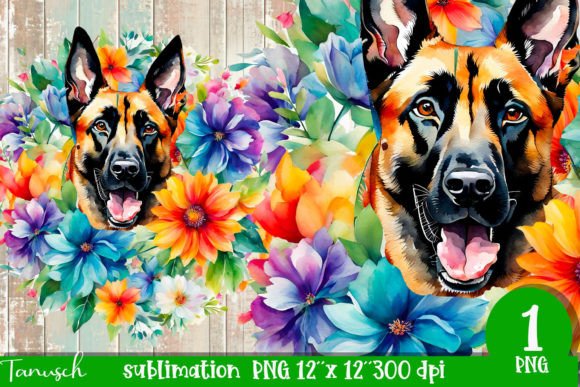 Watercolor Belgian Malinois Sublimation Graphic Illustrations By TanuschArts