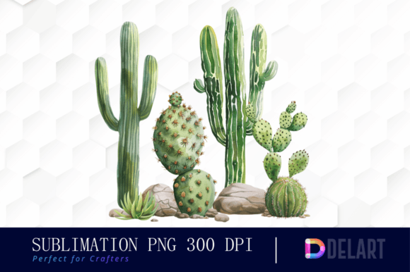 Watercolor Cactus PNG Clipart  the Comp Illustration Illustrations Imprimables Par DelArtCreation