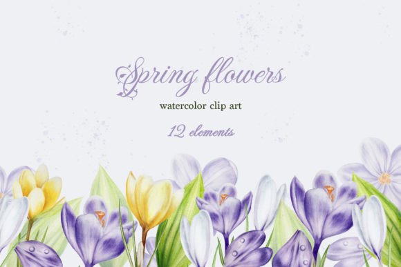 Spring Flowers Isolates Graphic Illustrations By Navenzeles