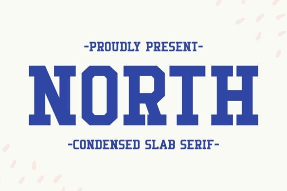 North Slab Serif Font By Intype Studio