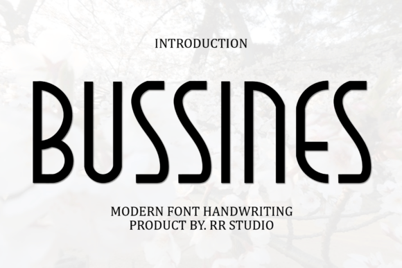 Bussines Sans Serif Font By RR Studio