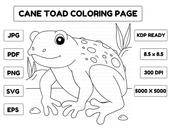 Cane Toad Animal Coloring Page for Kids Graphic Coloring Pages & Books Kids By abbydesign
