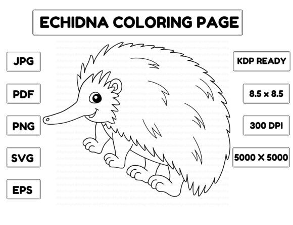 Echidna Coloring Page Isolated for Kids Illustration Pages et livres de coloriage pour enfants Par abbydesign
