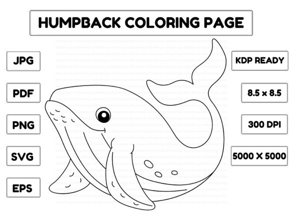 Humpback Whale Coloring Page Isolated Graphic Coloring Pages & Books Kids By abbydesign