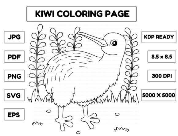 Kiwi Animal Coloring Page for Kids Illustration Pages et livres de coloriage pour enfants Par abbydesign
