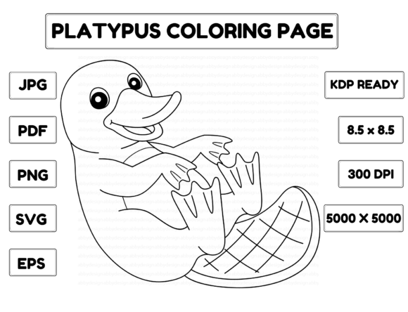 Platypus Coloring Page Isolated for Kids Graphic Coloring Pages & Books Kids By abbydesign