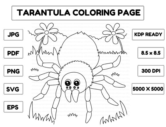 Tarantula Animal Coloring Page for Kids Graphic Coloring Pages & Books Kids By abbydesign