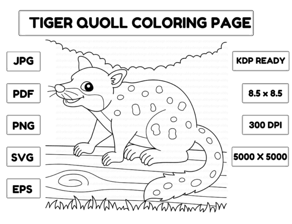 Tiger Quoll Coloring Page for Kids Gráfico Páginas y libros de colorear para niños Por abbydesign
