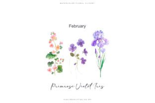 Watercolor Birth Flowers Collection Graphic Illustrations By Patishop Art 3