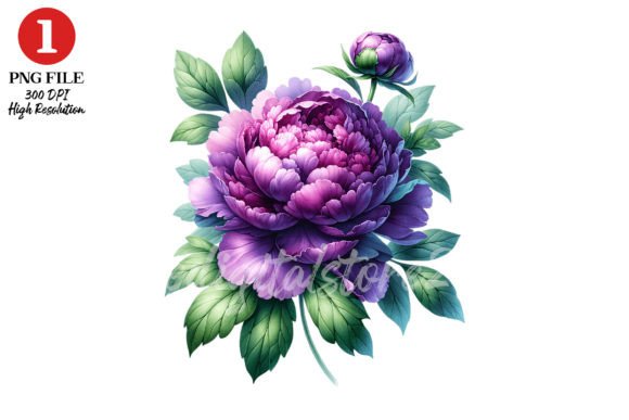 Peony Floral Clipart Sublimation Design Grafik KI Transparente PNGs Von TheDigitalStore247